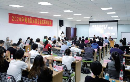 蜀山破局新生 七項(xiàng)經(jīng)濟(jì)指標(biāo)領(lǐng)跑合肥城區(qū)，藝術(shù)培訓(xùn)產(chǎn)業(yè)成新增長(zhǎng)極